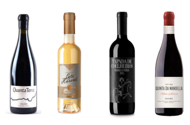 4 vinhos e as suas histórias: três tintos e um vinho colhido tardiamente no Oeste