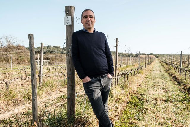 Luís Patrão, enólogo Tapada de Coelheiros