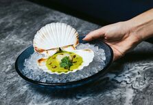 LOTA Sea & Fire, renascido das cinzas