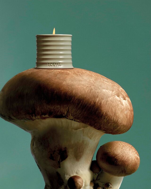 Apresenta um cheiro intenso, que lembra o aroma da terra, inspirado nos cogumelos Portobello.