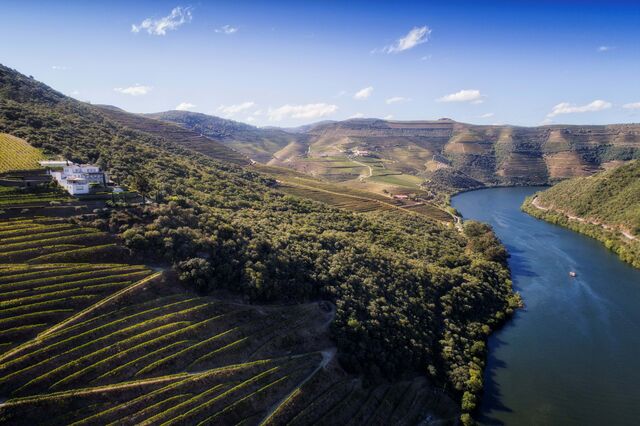 o vinho foi feito em lagar de granito, "onde ocorreu a fermentação alcoólica completa, com leveduras indígenas e pisa a pé suave".