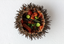 Ericeira recebe festival dedicado ao ouriço - uma iguaria do mar