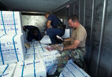 Isto Lembra-me Uma História. Cocaína em peixe congelado, e outros casos famosos