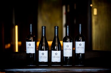 7 novos vinhos de duas velhas quintas no Douro. Estes tem mesmo de provar