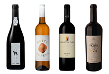 4 vinhos e as suas histórias: dois tintos do Douro, um de talha e um branco de “calhau rolado”