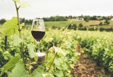 Barros: Brindar ao 25 de Abril com um Vinho do Porto de 1974