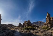 Guia Tenerife: terra de vulcões, florestas laurissilva e praias de areia preta