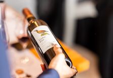 A Bairrada abre portas para celebrar a Baga, a sua casta rainha