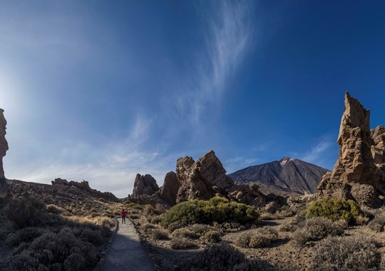 Guia Tenerife: terra de vulcões, florestas laurissilva e praias de areia preta