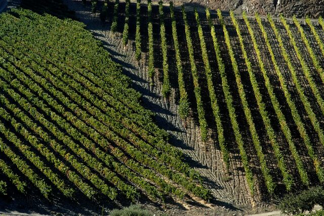 Um vinho oriundo do projeto Roquette & Cazes ou, como os responsáveis gostam de referir, "do encontro de dois amigos, Jorge Roquette, da Quinta do Crasto no Douro, e Jean-Michel Cazes, do Château Lynch-Bages, em Bordéus".