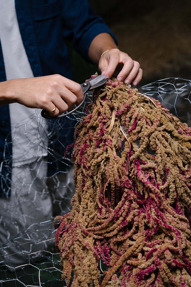 As peças são maioritariamente feitas com amaranthus preservado.