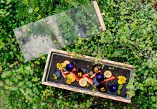 Dona Maria: onde as sobremesas têm um toque de marcenaria