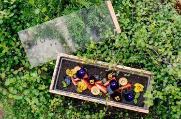 Dona Maria: onde as sobremesas têm um toque de marcenaria