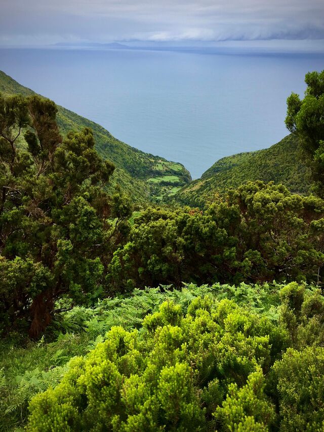 Trata-se do caminho que liga a o miradouro da Serra do Topo à Caldeira da Fajã de Santo Cristo e à Fajã dos Cubres.