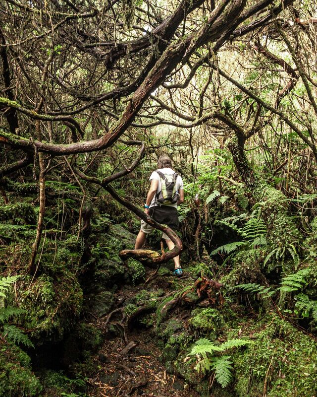 Nesta ilha a opção são os Trilhos da Serra de Santa Bárbara, que integra o Parque Natural da ilha da Terceira, no interior da qual se encontra inclusive a Reserva Integral da Caldeira da Serra de Santa Bárbara.