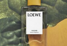 Loewe Wasabi, uma fragrância picante que desperta os sentidos