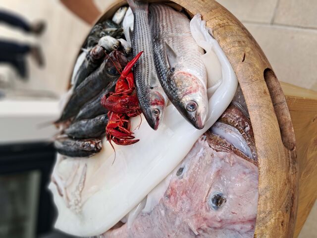 A enguia praticamente desapareceu dos rios europeus, tendo perdido 90 a 99% da sua população nos últimos 40 anos, e mesmo assim a pesca continuou – e continua − a ser permitida.