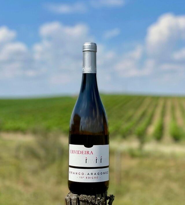 O Invisível, um vinho branco feito a partir de uvas tintas, revolucionou o setor vitivinícola português desde o seu lançamento em 2009.