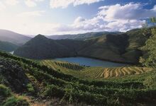 Douro Somm Camp 2024: Um evento de excelência no coração do Douro