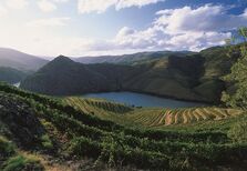Douro Somm Camp 2024: Um evento de excelência no coração do Douro