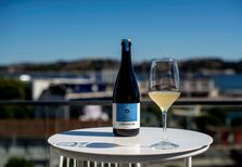 13 grandes vinhos para brindar ao verão