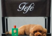 Dolce & Gabbana apresenta primeiro perfume para cães