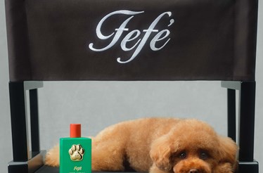 Dolce & Gabbana apresenta primeiro perfume para cães