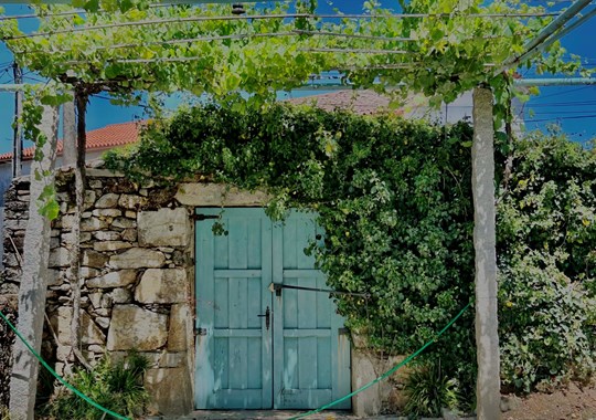 Viagem até às Rias Baixas, na Galiza. Entre a terra e o mar