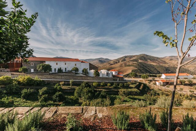 Em dez anos replantaram cerca de 40 hectares de vinha e trataram dos outros 160. Arrancaram castas estrangeiras, como Cabernet Sauvignon e Merlot, e voltaram a plantar autóctones.