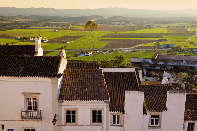 As casas antigas de Estremoz rodeadas de vinhas