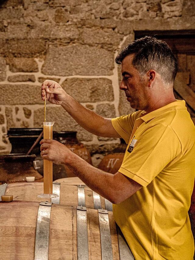 Tiago Macena teve de provar 36 vinhos todos diferentes, sem qualquer indicação, e acertar, entre outras questões, na origem, na casta e no ano.