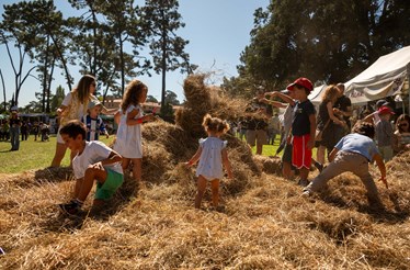 Celebrar o outono em Serralves