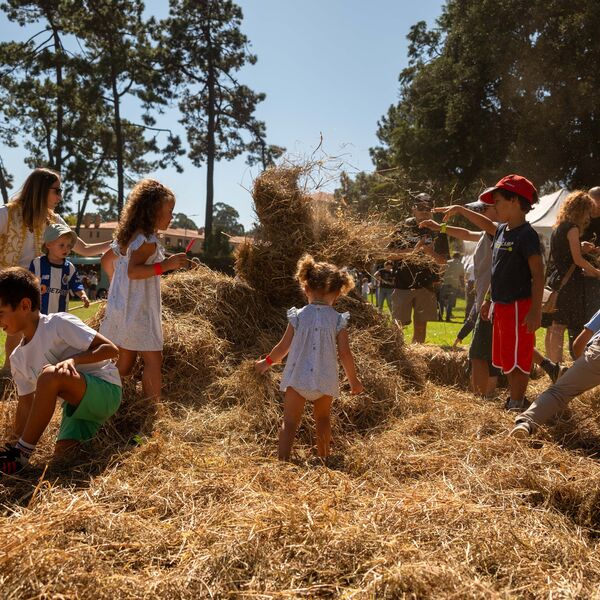 Celebrar o outono em Serralves