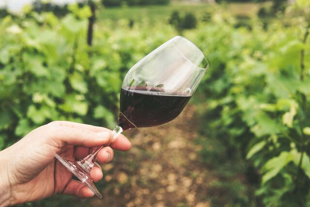 O sabor do vinho não é particularmente afetado por esta prática, mase faz com que cada vinho tenha uma identidade local específica.