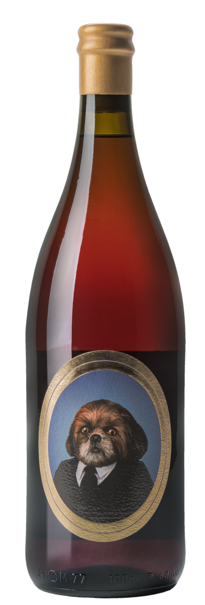 O vinho Dr. Bruno resulta de uma parceria entre o Rocim e a Quinta da Lagoa Velha, da Bairrada.