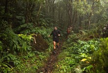 Roteiro. Que mistérios esconde o Faial? 