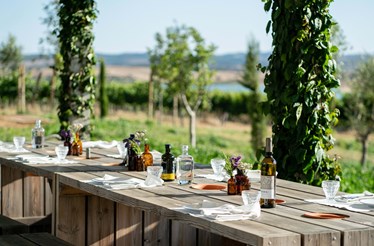 “Mãos à Horta”. Dois almoços que celebram a riqueza natural do Alentejo