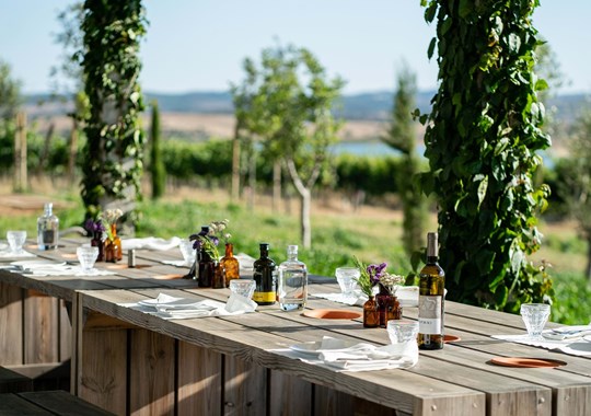 “Mãos à Horta”. Dois almoços que celebram a riqueza natural do Alentejo