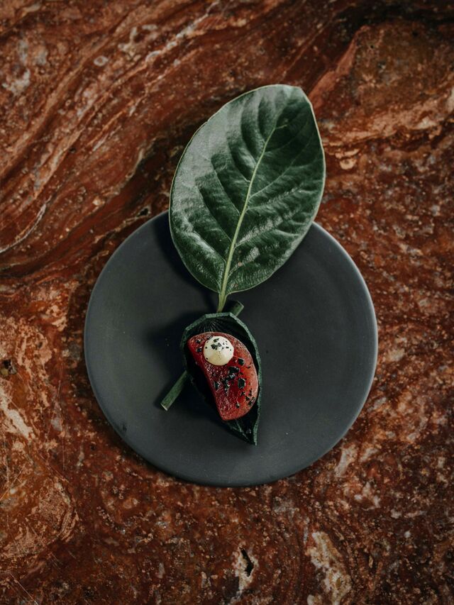 Entrada de atum curado com folha de louro e alho assado.