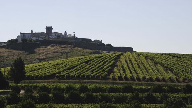 Após uma maceração pré-fermentativa, uma parte das uvas é fermentada em lagares de mármore (com pisa mecânica) e as restantes em cubas de inox, com controlo de temperatura.