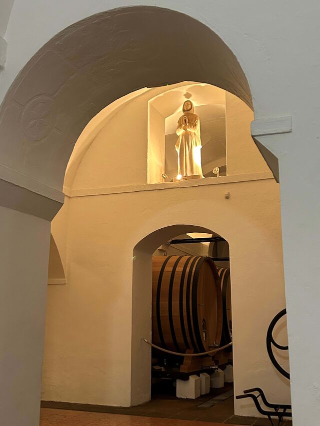 "O vinho mais especial, exclusivo e raro da Cartuxa, da Fundação Eugénio de Almeida, vê as garrafas da colheita de 2018 chegarem ao mundo exterior, depois de terem passado quatro anos na penumbra das caves da Quinta de Valbom."