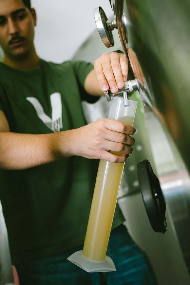 "A nossa vontade era de fazer vinhos noutros locais de vinho verde."