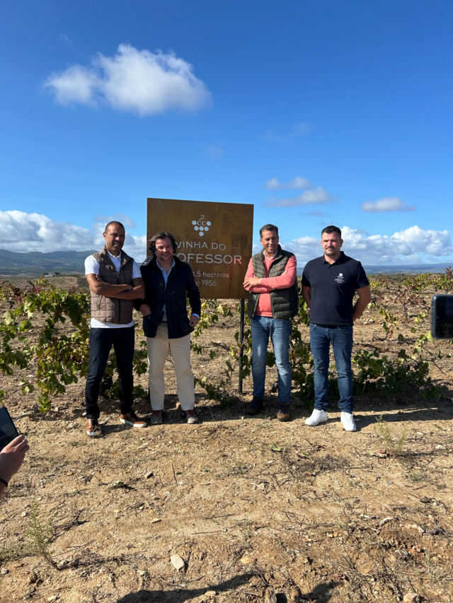 Trata-se de um vinho enraizado numa vinha muito especial com 70 anos já, mas garante de grandes alegrias futuras.