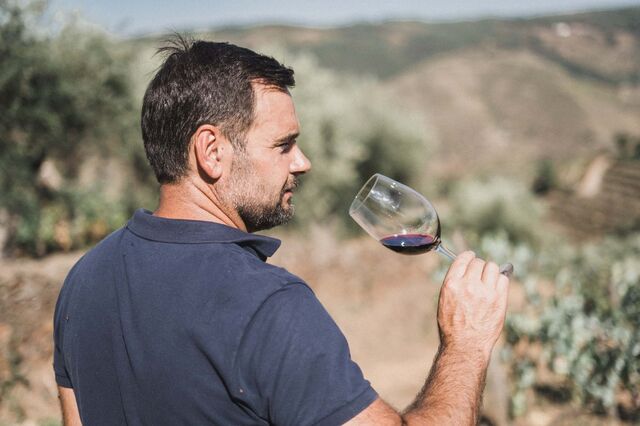 O enólogo e produtor Paulo Coutinho procurou nesta colheita "dar uma nova evolução ao vinho, pois os consumidores estão cada vez mais a exigir vinhos mais elegantes".