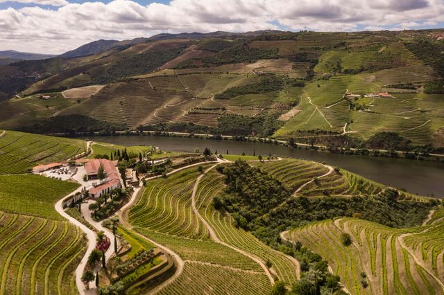 António Bastos garante que o vinho "é marcado por uma cor intensa, densidade e aromas sedutores, e apresenta uma sofisticação que só a madeira de carvalho francês consegue aportar, conferindo-lhe uma estrutura musculada e uma textura suculenta".