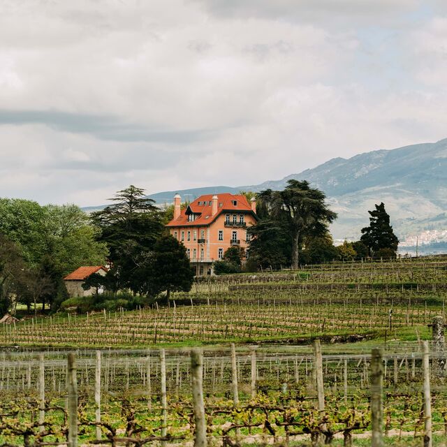 A Casa da Passarella é uma das mais antigas do Dão e uma das mais ricas em diversidade de castas e de vinhas antigas, como praticamente já não se encontra na região.