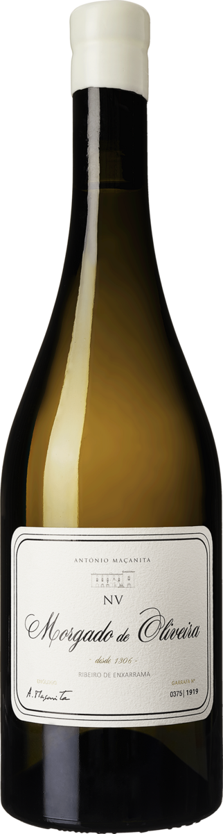 Morgado de Oliveira NV.
