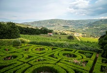 Quinta de Guimarães: um paraíso familiar com vista para o Douro