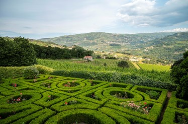 Quinta de Guimarães: um paraíso familiar com vista para o Douro