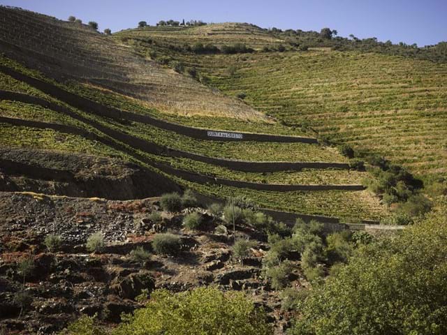  Cobrindo 1,96 hectares de vinhas centenárias, a origem e o nome do vinho são inspirados numa histórica ponte romana que atravessa a propriedade.